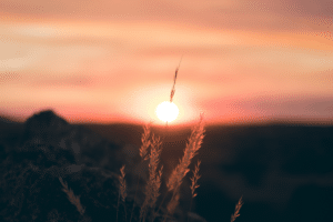 Beautiful sundown