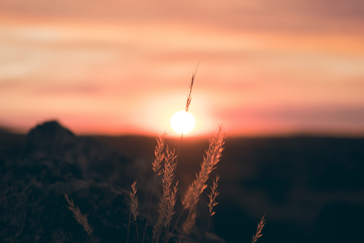 Beautiful sundown