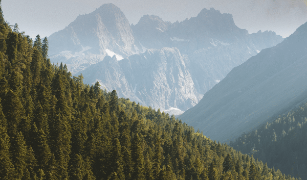 Green beautiful nature with mountains