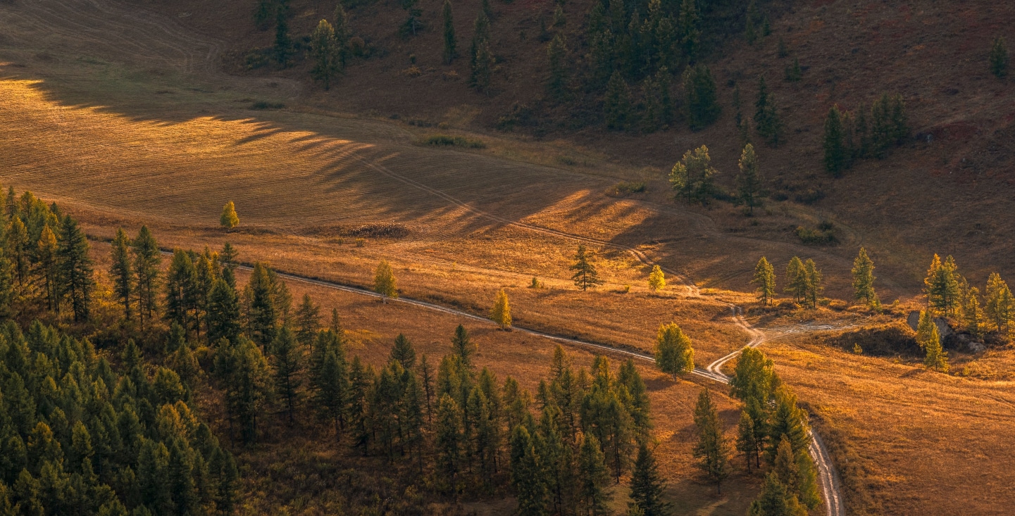 Aerial view of countryside