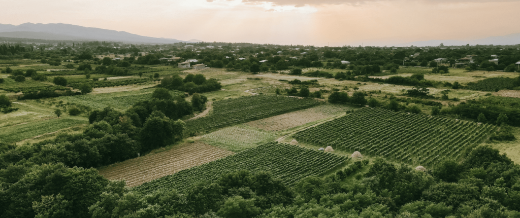 Aerial view of farm