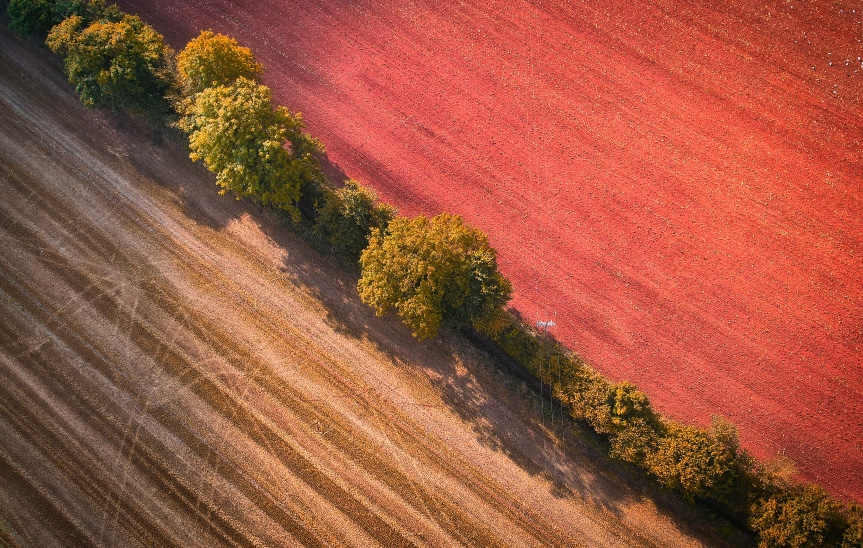 Aerial view of farm