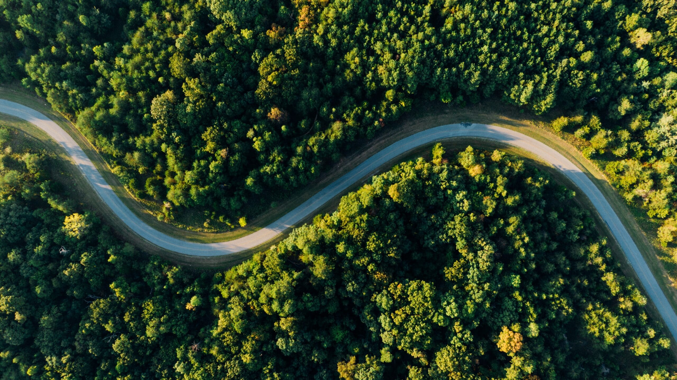 Aerial view of road